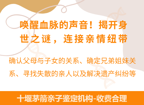 十堰茅箭爷孙、姐妹、兄弟等隔代亲缘关系鉴定