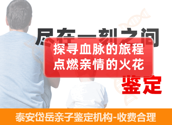 泰安岱岳个人隐私亲子鉴定