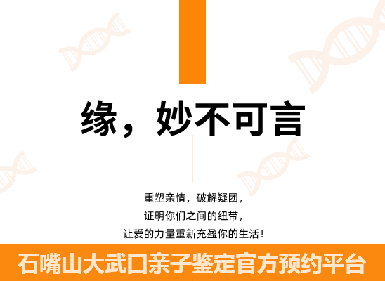 石嘴山大武口个人隐私亲子鉴定