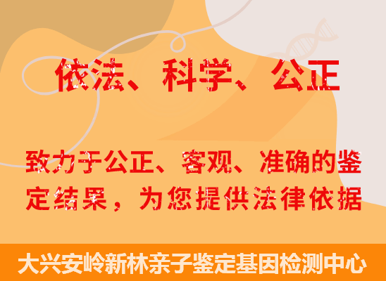 大兴安岭新林司法亲子鉴定