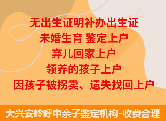 大兴安岭呼中司法亲子鉴定