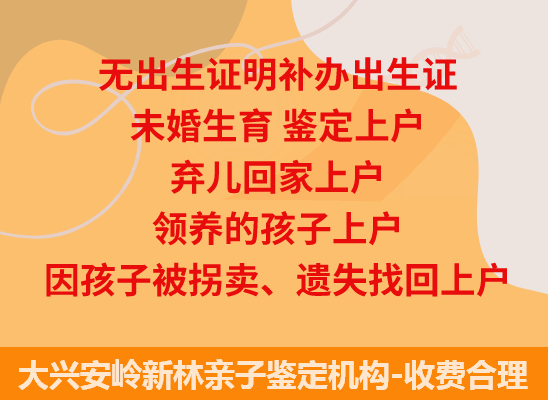 大兴安岭新林司法亲子鉴定