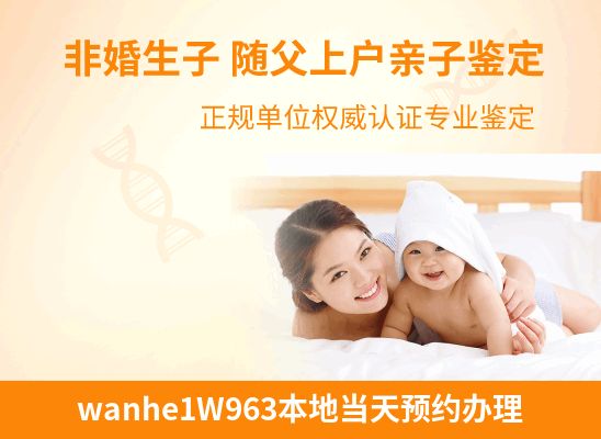 wanhe1W963新生儿(未婚生子)上户亲子鉴定