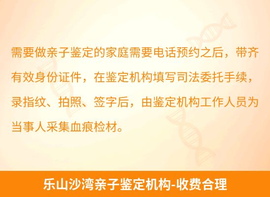 乐山沙湾学籍上学或考试亲子鉴定