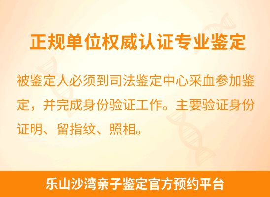 乐山沙湾学籍上学或考试亲子鉴定