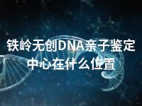 铁岭无创DNA亲子鉴定中心在什么位置